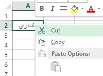 قرار میگیرد. جابجا کردن یک سلول جابجا کردن یک سلول همانند کپی کردن آن است با این تفاوت که بجای انتخاب گزینه COPY در لیست راست کلیک باید گزینه CUT را انتخاب کنیم.