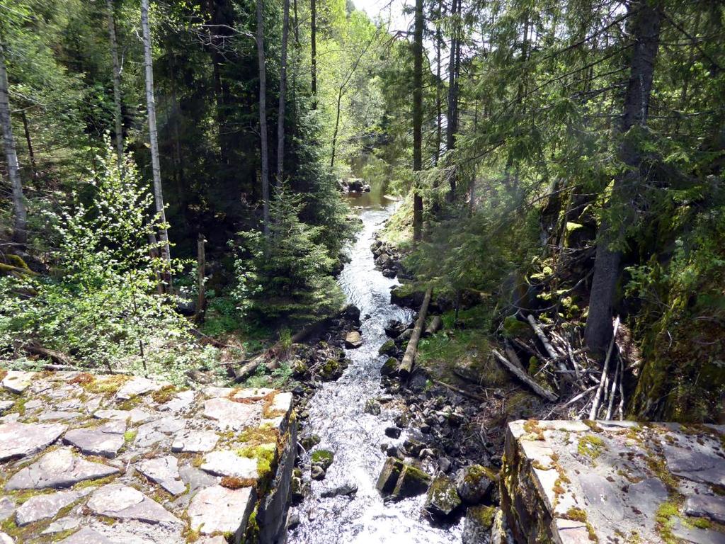 var tidligere en alvorlig trussel. Årsaken til bestandsnedgangen er ulik i de enkelte vassdragene.