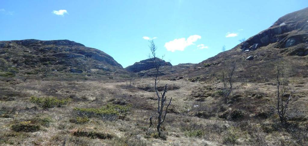 terreng med liten fallhøyde.