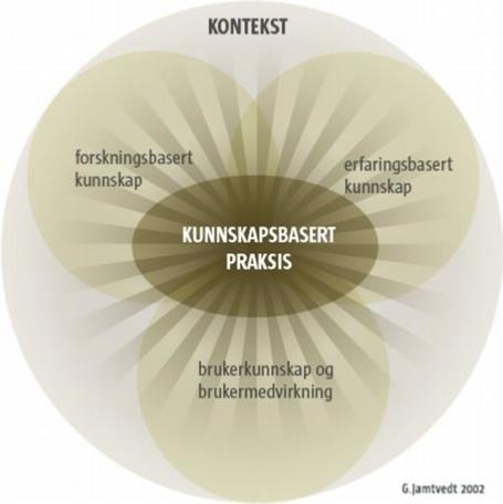 Kunnskapsbasert