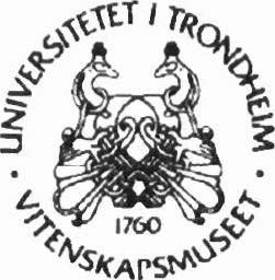 UNIVERSITETET I TRONDHEIM, VITENSKAPSMUSEET BOTANISK NOTAT 1993 5 Vegetasjon og