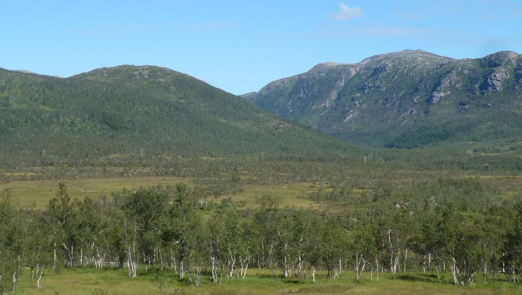 Forord Statens vegvesen, Region nord, legger med dette forslag til reguleringsendring for E10/ rv.83/ rv.85 Hålogalandsvegen ut til offentlig ettersyn og høring i henhold til pbl. 12.10. Planforslaget er utarbeidet av Statens vegvesen, Region nord.