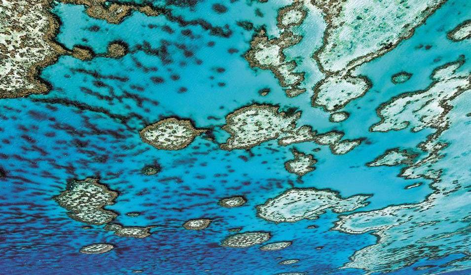 Great Barrier Reef - Øyhopping i Australia nesten 250 år siden. Fra toppen er det en helt fantastisk utsikt, og man kan se utover de mange tropiske øyene og korallrevene.