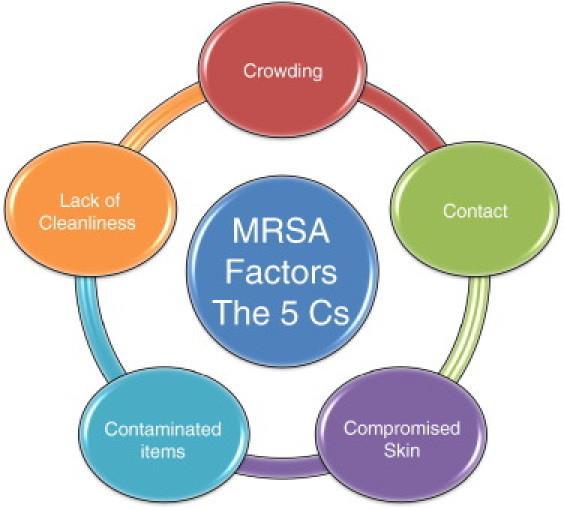 MRSA er vanlig i befolkningen, de utgjør et stort, globalt folkehelseproblem, og disse bakteriene forårsaker betydelig morbiditet, dødelighet samt forhøyede helsekostnader (Green, B. et al 2012).