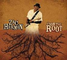 Zac From the root Segn.