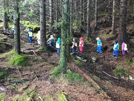 Barna er god til å samarbeide og finne på ulike aktiviteter. De klatrer i trær, ruller ned bakker og de liker også godt å klatre.
