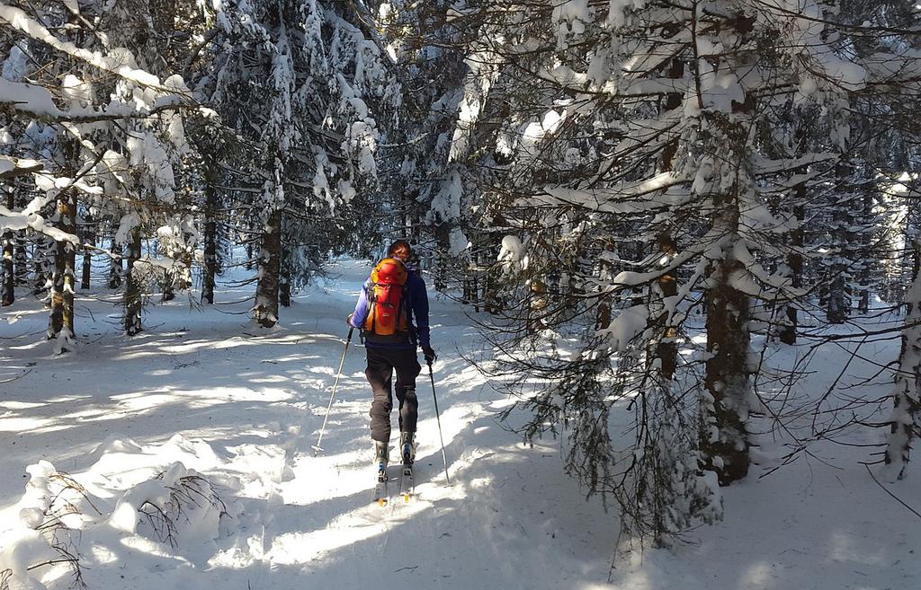 Husk å krysse av på påmeldingsskjema. Har du behov for transport /ledsager til kulturkveld?