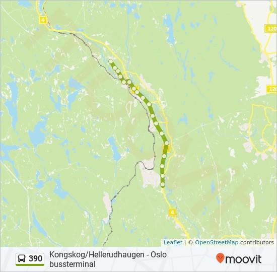 Strøm Bru Hadelandsveien 1071, Norway Strømsenga Rotnes Sag