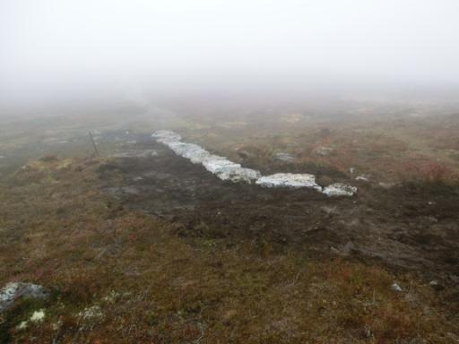 Sluttføring av parkeringsplass Aursjoen I sammenheng med steinlegging av stien på Aursjoen, ble det kjørt på 4-5 lass med grus på parkeringsplassen ved infopunktet.