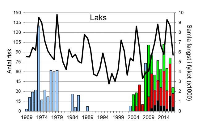 Laksen i vassdraget vart freda i 199, men det vart igjen opna for fiske etter laks frå fiskesesongen 23, då vassdraget vart definert til ikkje å ha laksebestand. Figur 5.1.1. Årleg fangst av laks (stolpar, venstre) og sjøaure (høgre) i Årdalsvassdraget i perioden 1969-217.