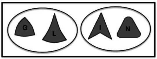 všetky holisticky pripomínajú trojuholník; všetky sú v štandardnej (horizontálno-vertikálnej) polohe; u troch z nich sa vyskytuje zaoblenie vrcholov, resp.