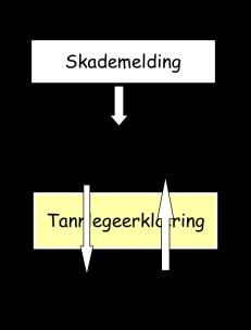 Private forsikringer Forsikringstager