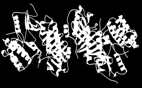 unmethylated DNA 4 Transcription 2 partially methylated RNA