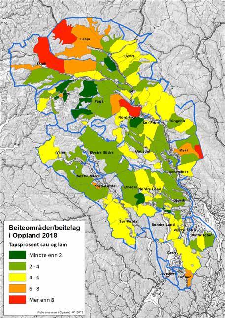 Tapsoversikt - OBB Oppland 2008-2018: År Tapsprosent sau Tapsprosent lam Tapsprosent sau og lam Antall dyr tapt på utmarksbeite Antall dyr sluppet på utmark 2018 3,00 5,18 4,38 11 164 254 954 2017