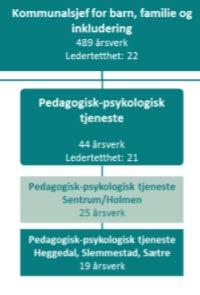 Pedagogisk psykologisk tjeneste Hovedportefølje Sakkyndige vurderinger etter