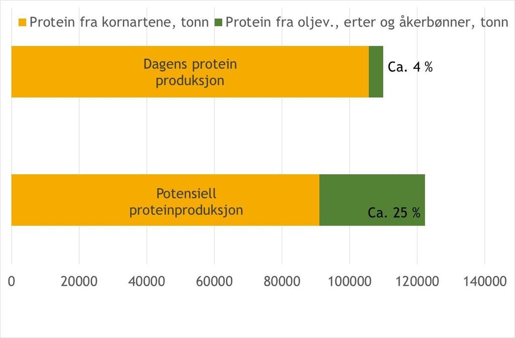 Protein produsert på kornarealene Potensiell øking av protein produsert på kornarealene: 110 000 tonn til 122