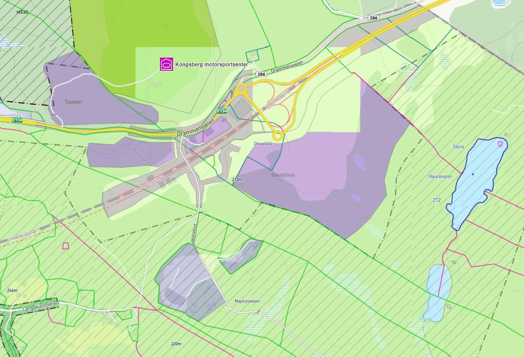 Innspill til kommuneplanens arealdel. Toppen, utvidelse av næringsareal ved ny E134 på Basserudåsen. Gnr 134, bnr 2, Kongsberg kommune. Eiendomsforhold. Grunneier på eiendommen er Per Henning Ruud.