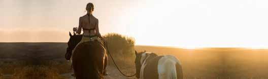 FB:Tara Orlin, Hestetrener @to.horsemanship - www.tohorsemanship.no TARA ORLIN TIL RI TRAVBANE! - GRIP MULIGHETEN! Vi har gleden av å invitere til kurs her på Biri Travabane 23. og 24.mars kl.