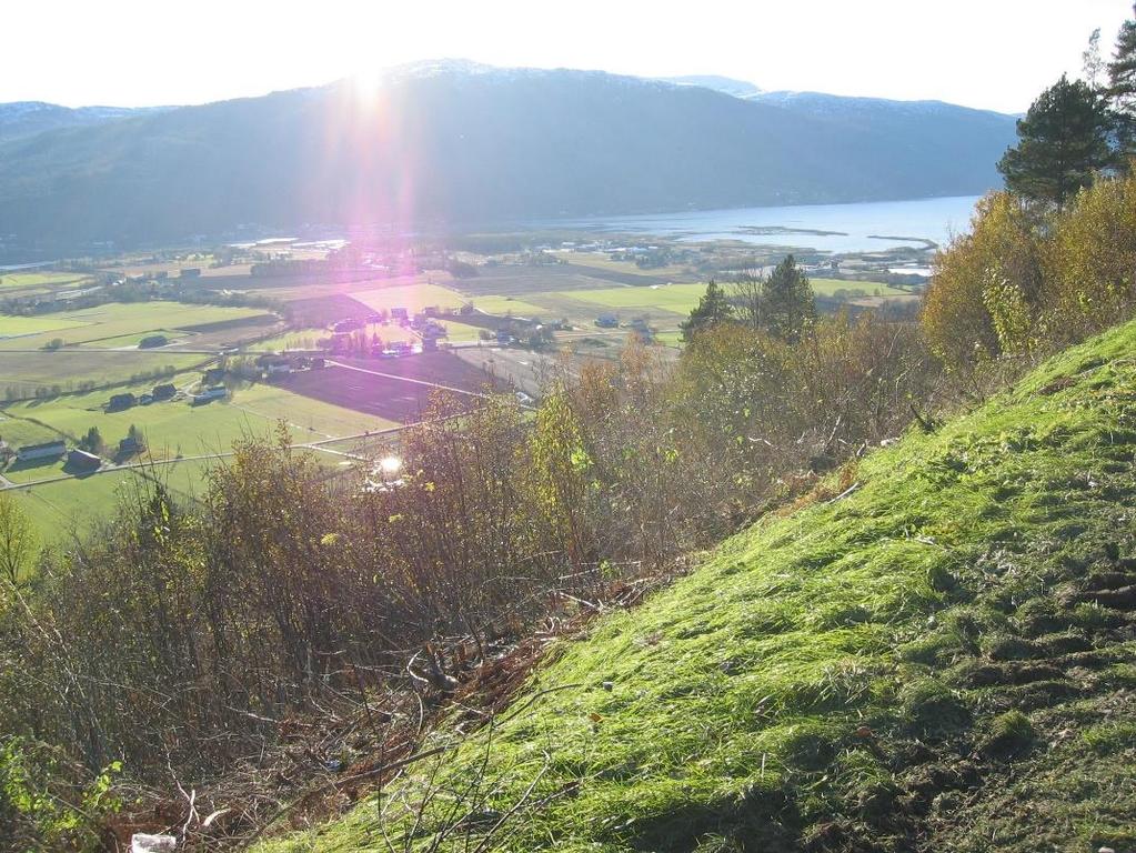 Bakgrunn Forskningsprosjekt om reiseliv, kulturminner og gjengroing utført av Norsk institutt for skog og landskap og Bygdeforskning i 2012 Om kontrastene og variasjonen i landskapet forsvinner,