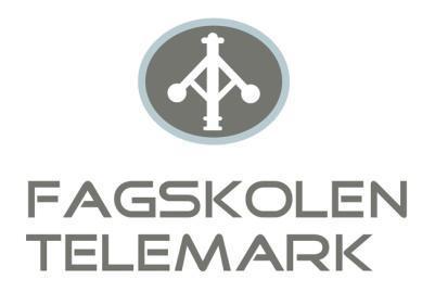 Fagskolen Telemark Studieplan 2 ulike utdanningsformer: Stedbasert Fjernundervisning 2-årig teknisk