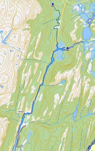 4.2 Leirelva-Leirfjord (153.22Z) Elva ble undersøkt 17/1 av to drivteller (V.Gjertsen og Ø.K.Hanssen), og med sikt på 7-8 m var dekningen god.