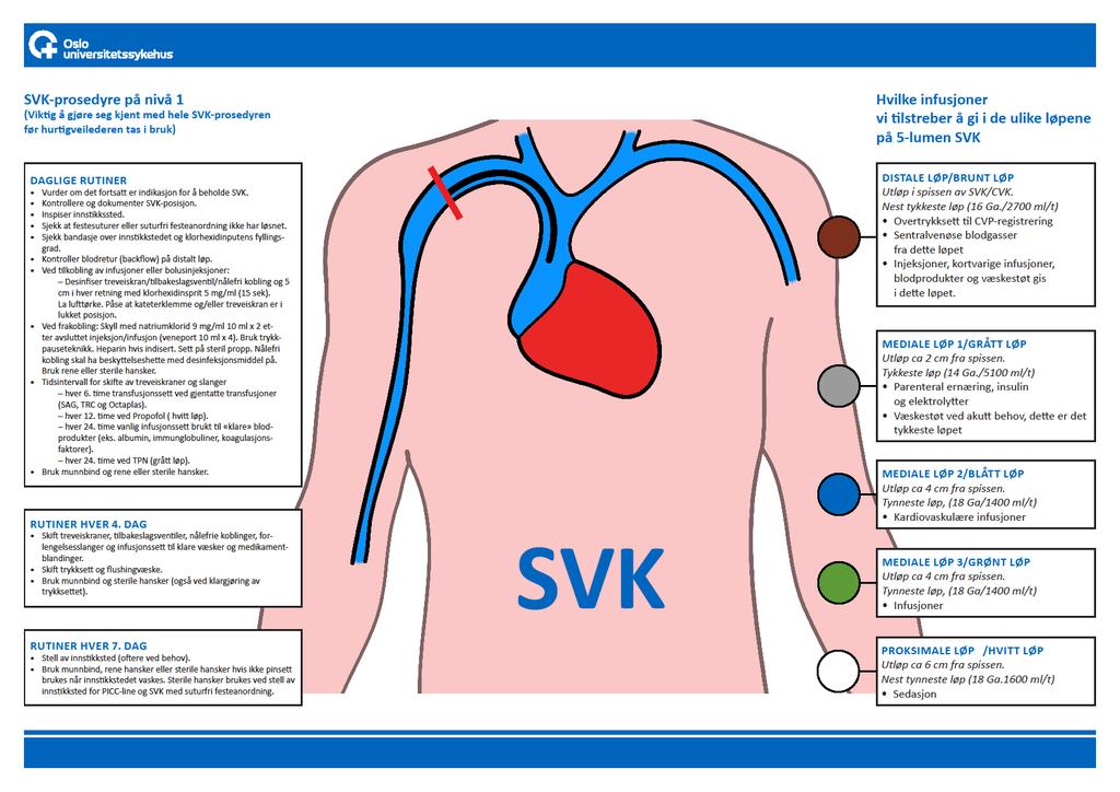 SVK/CVK kortversjon for 9