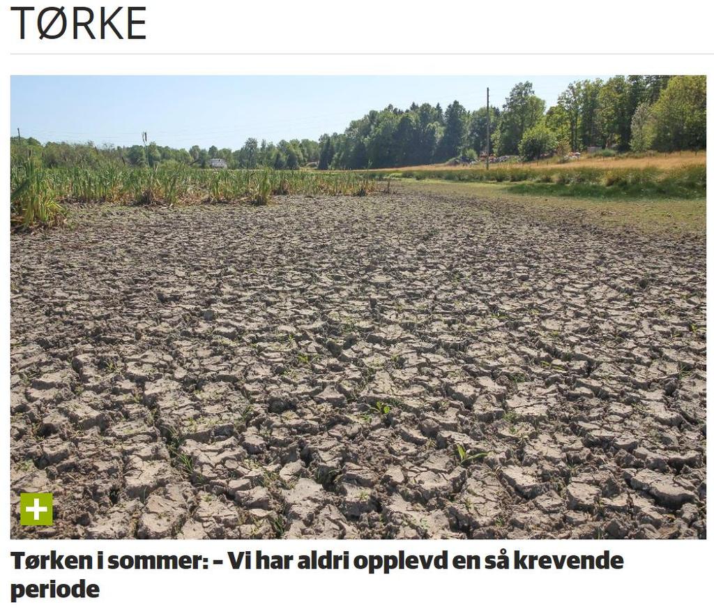 Da vi endelig