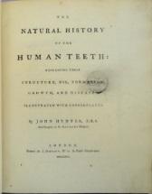 history of the human teeth: