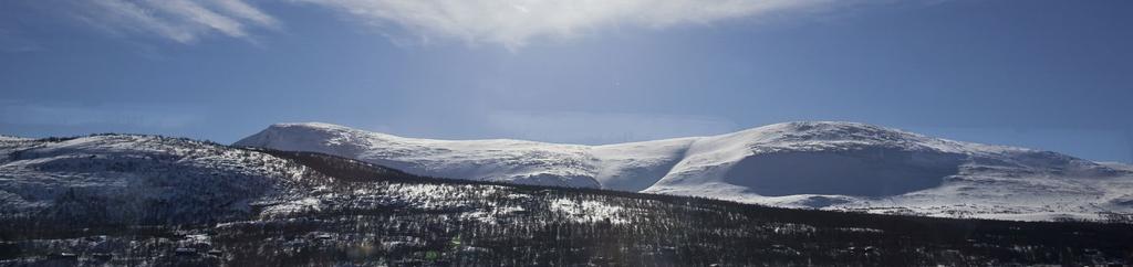 Medianpris utvalgte områder TABELL 3 // Prisutvikling. ØYER (Hafjell mfl.