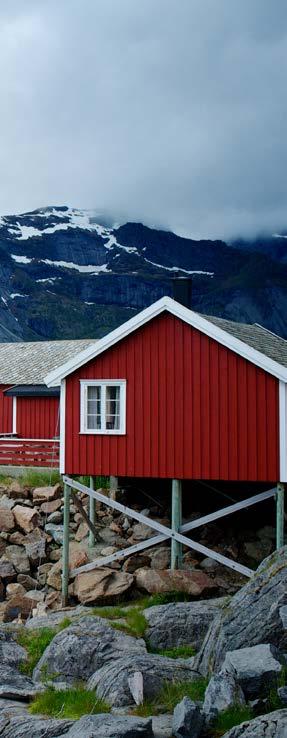 Innledning I den norske arbeidslivsmodellen er tillitsvalgtes mulighet for medinnflytelse en svært viktig verdi.