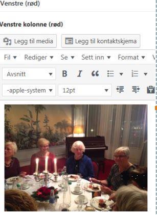 REDIGERE FAKTASIDEN - BERGEN Enkel redigeringsmeny som i Word Legg til Media: Her lastes opp