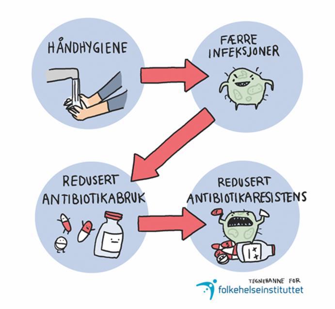 Hvordan forebygge infeksjoner?