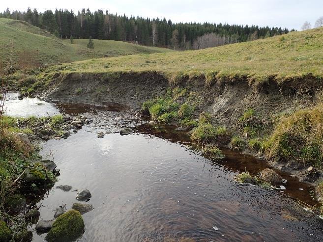 Belastningen har derfor vært vedvarende høy i lang tid, og vannkvaliteten klassifiseres som dårlig (2015 og 1988) eller moderat (2016). Det er samme tendens for nitrogen som for fosfor.