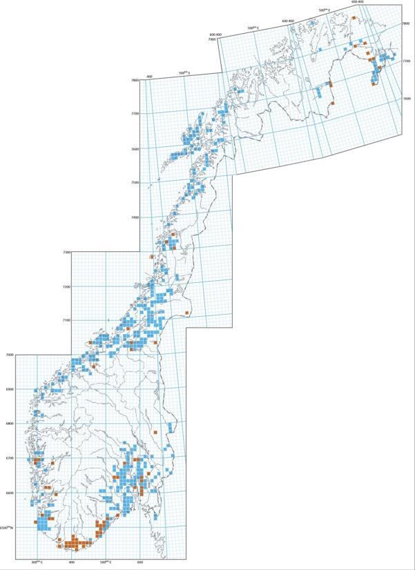 Muslingen har en muskuløs fot som den kan bruke til å forflytte seg med eller forankre seg i substratet med.