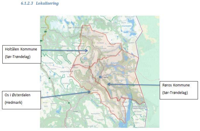 Bakgrunn Røros kommune er