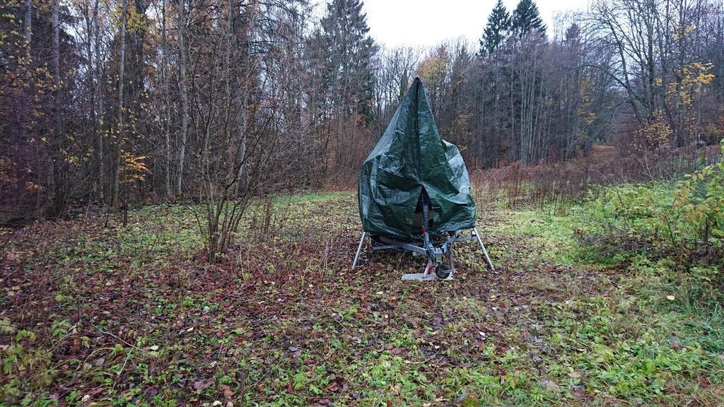 Resultater Den undersøkte tomten er forholdsvis skarpt todelt med tanke på naturkvaliteter.