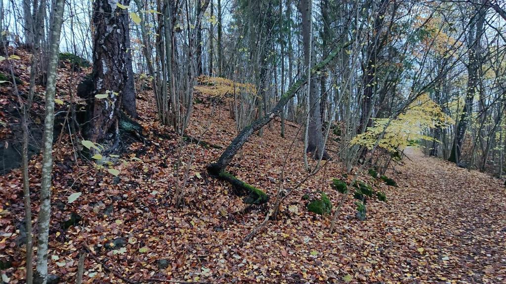 vurderes å ha potensial for jordboende sopp og potensielt spesielle moser knyttet til små kalkknauser.