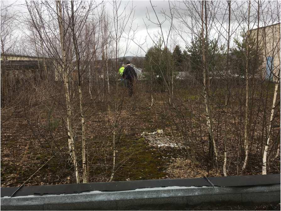 6 Nytt fra LC Rælingen Dugnad på Leca, Lillestrøm Dugnad på Leca Bernt hadde kontaktet sin gamle arbeidsgiver Leca som også i år hadde behov for våropprydding.