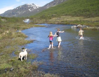 I forrige planperiode utarbeidet vi en oversikt over brukerinteresser i Hallingdal: Reiseliv og turisme: Vann som landskapselement er viktig for reiselivet. Synlighet, tilstand.