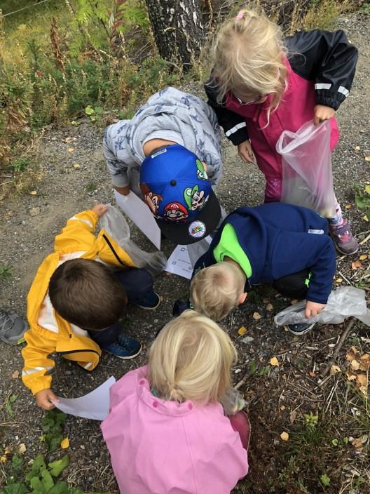 5.5 LÆRING: Barnehagens pedagogiske praksis skal bygge på et helhetlig læringssyn hvor omsorg, danning, lek, læring, språk og sosial kompetanse henger sammen.