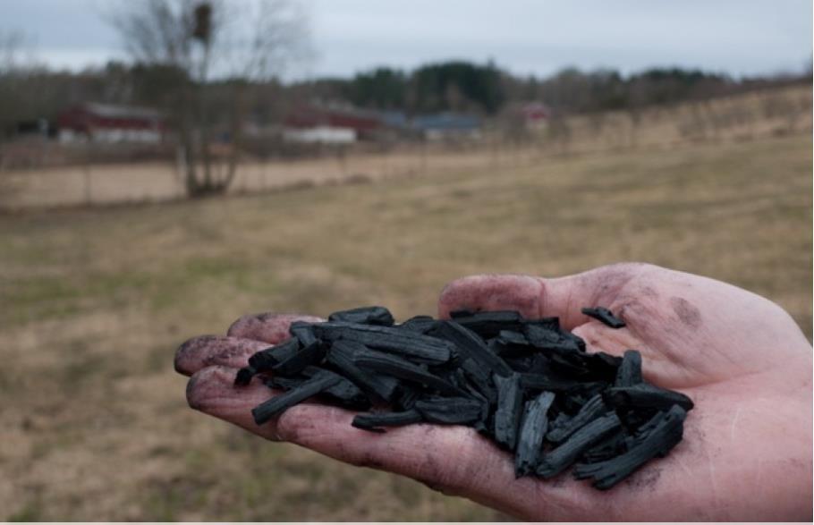 Biokull Fjerner karbon fra det naturlige kretsløpet Forkullede rester av