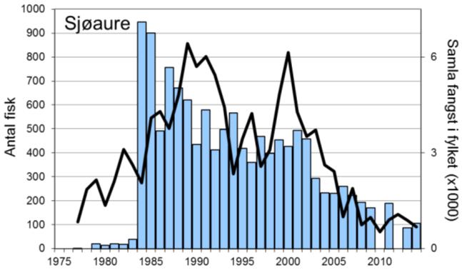 Sidan 2009 har ein del av laksane vorte sett ut att i elva, i 2014 utgjorde det 25 % av registrert fangst. Gjennomsnittleg årsfangst av sjøaure i perioden 1969-2009 var 377 (snittvekt 1,2 kg).