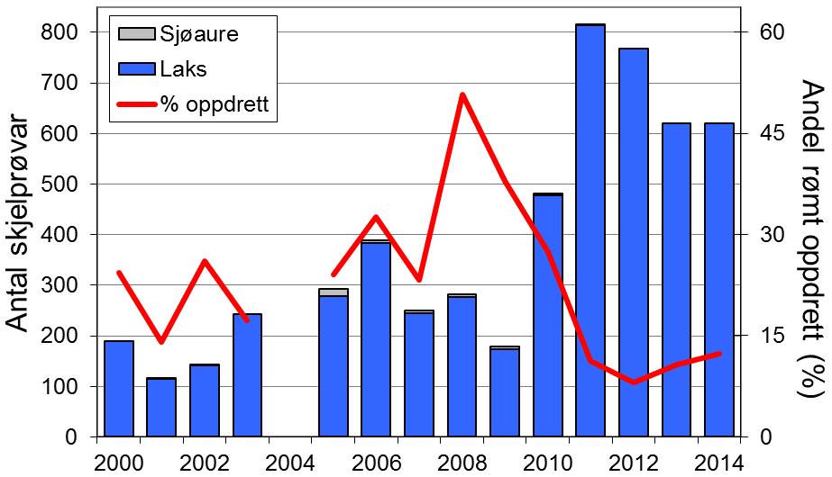 Nedgangen i sjøaurefangstane frå tidleg på 2000-talet har vore stort sett den same som i resten av fylket. Det er ingen klar samanheng mellom laksefangstane i Suldalslågen og resten av fylket.