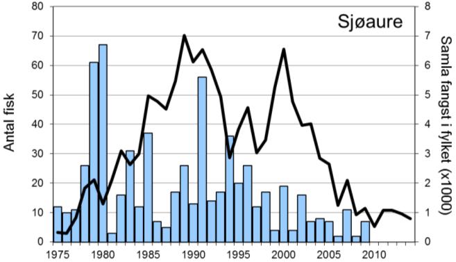 Etter ein brukbar laksefangst i 2007 gjekk det jamt nedover, og det oppsvinget ein såg i dei fleste andre elvane i Rogaland i 2010 skjedde ikkje i Ulla (figur 1, linje).