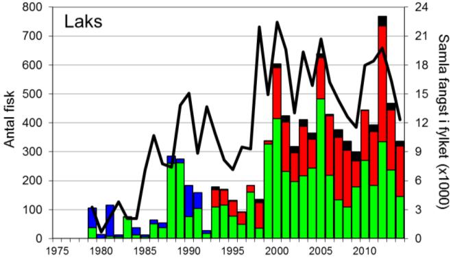 Fangststatistikk FANGST OG SKJELPRØVAR I VORMA Gjennomsnittleg årsfangst i perioden 1977-2014 var 257 laks (snittvekt 3,2 kg) og 49 sjøaurar (snittvekt 0,8 kg).