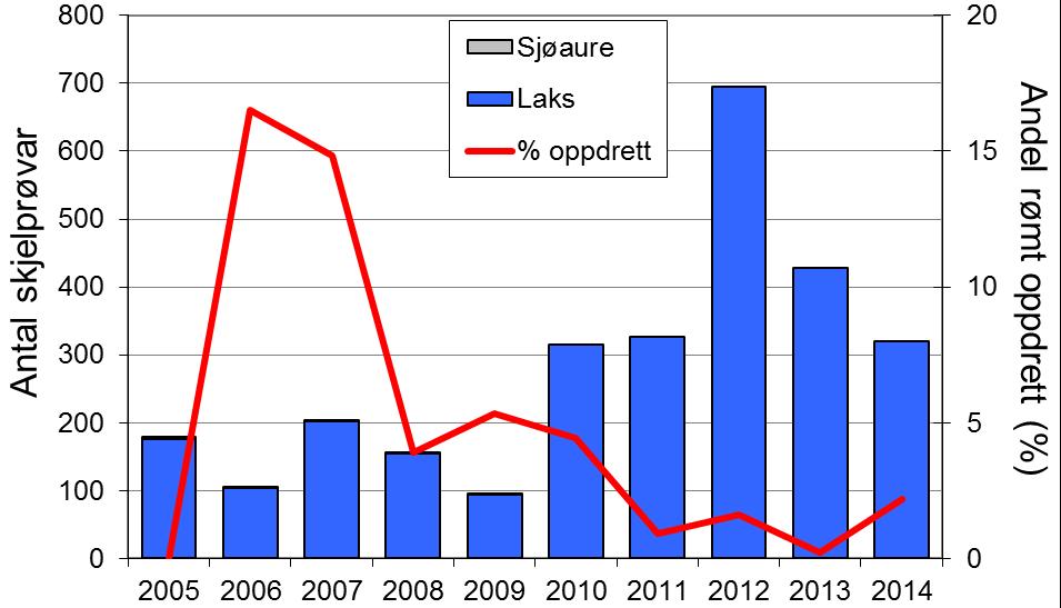 Utviklinga av både laks- og sjøaurefangstane på 2000-talet er mykje den same i Vorma som i resten av fylket, og viser at situasjonen ikkje er særeigen for Vorma (figur 1, linjer). Skjel 2014 FIGUR 1.