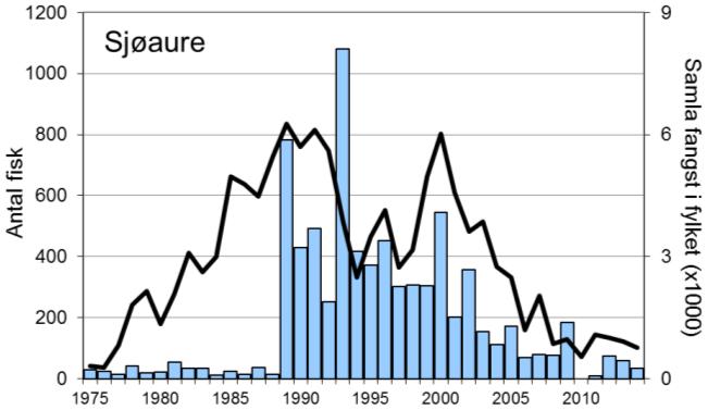 FANGST OG SKJELPRØVAR I ÅRDALSELVA Fangststatistikk Fangststatistikken for laks i Årdalselva kan delast i to epokar.