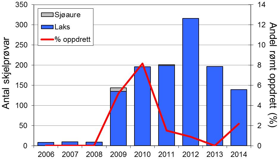 Frå 2010 har sjøauren vore freda, og all uskadd sjøaure har vorte sett ut att.