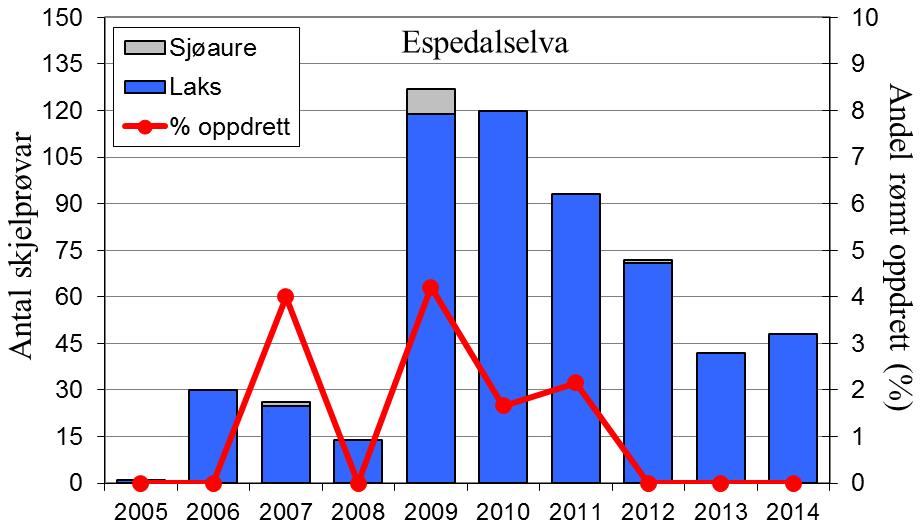 Utviklinga i sjøaurefangstane i Espedalselva frå midt på 1990-talet stemmer godt over eins med det ein har sett for resten av fylket (figur 1, linje).