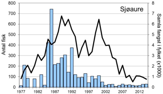 1000 laks, har tendensen vore aukande, og dei fem siste åra har fangstane variert mellom ca. 2000 og 2500 laks (figur 1, stolpar). I 2014 vart det fanga 2316 laks (snittvekt 2,2 kg).